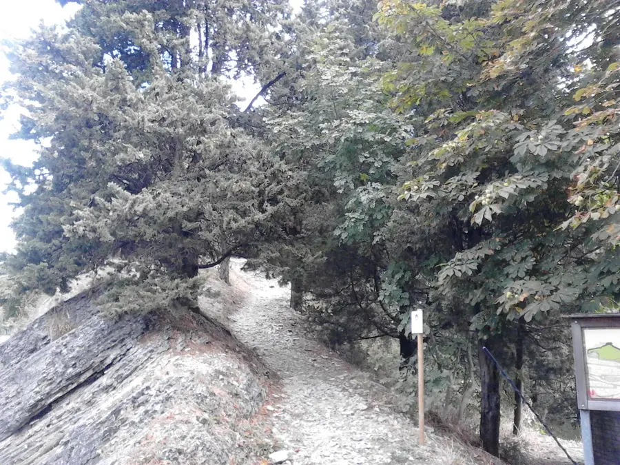 Cà Giangi