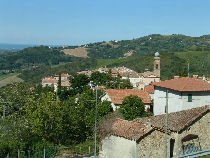 Cà Olivo