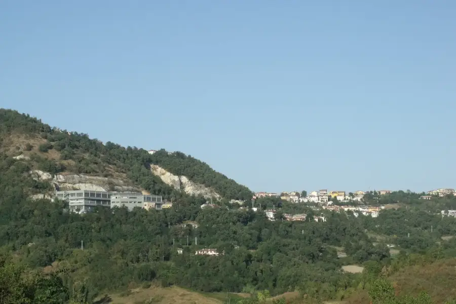 Creasta Fiorentino