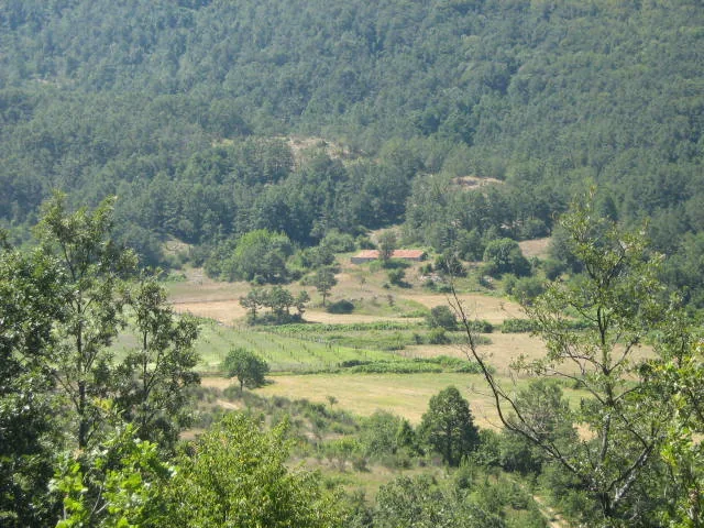 Valle dell'Ausa