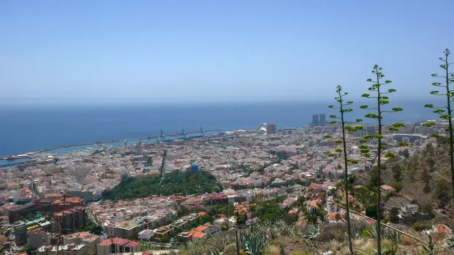 Santa Cruz