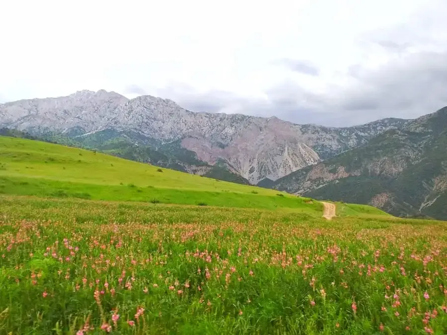 Sarkent National Park