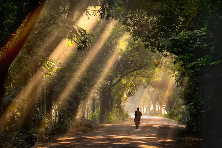 Satchari Nemzeti Park