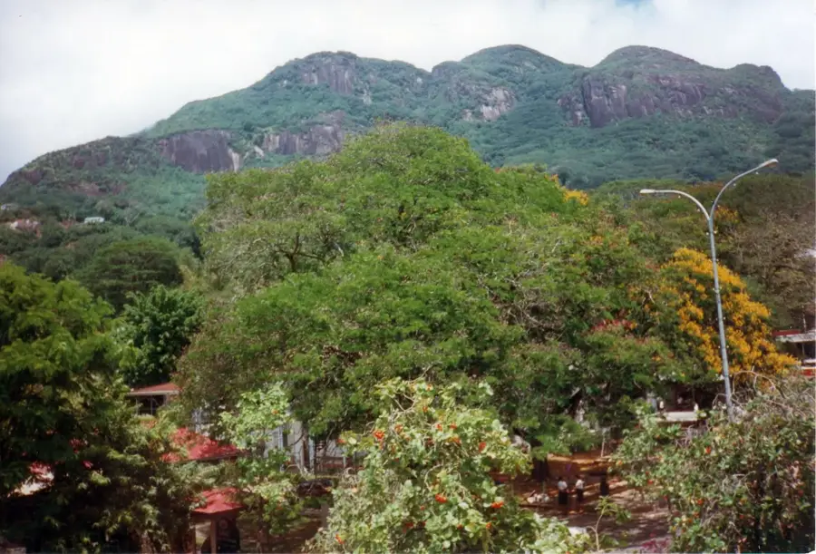 Mont Buxton