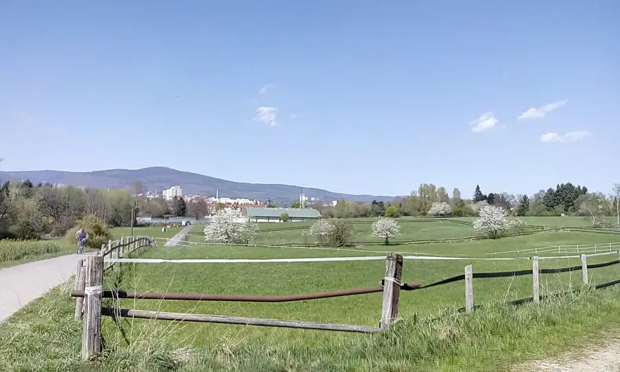 Schwalbach am Taunus – city