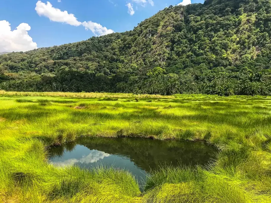 Semuliki-Nationalpark — Kyenjojo (Uganda)