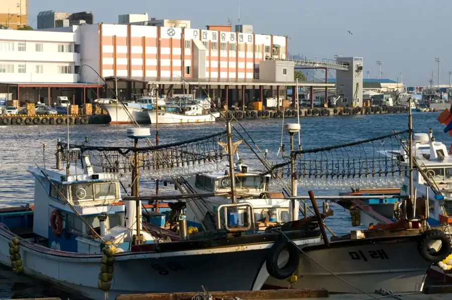 Seogwipo — Sagye-ri (Coreea de Sud)
