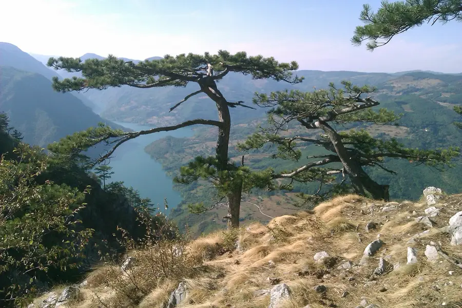 Banjska Stena kilátó