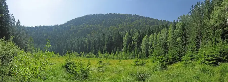 Golija Természetvédelmi Park
