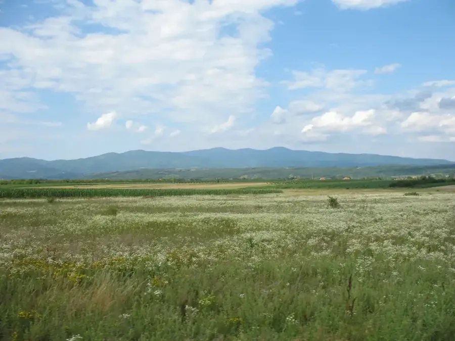 Mali Jastrebac — Devil's Town (Serbia)