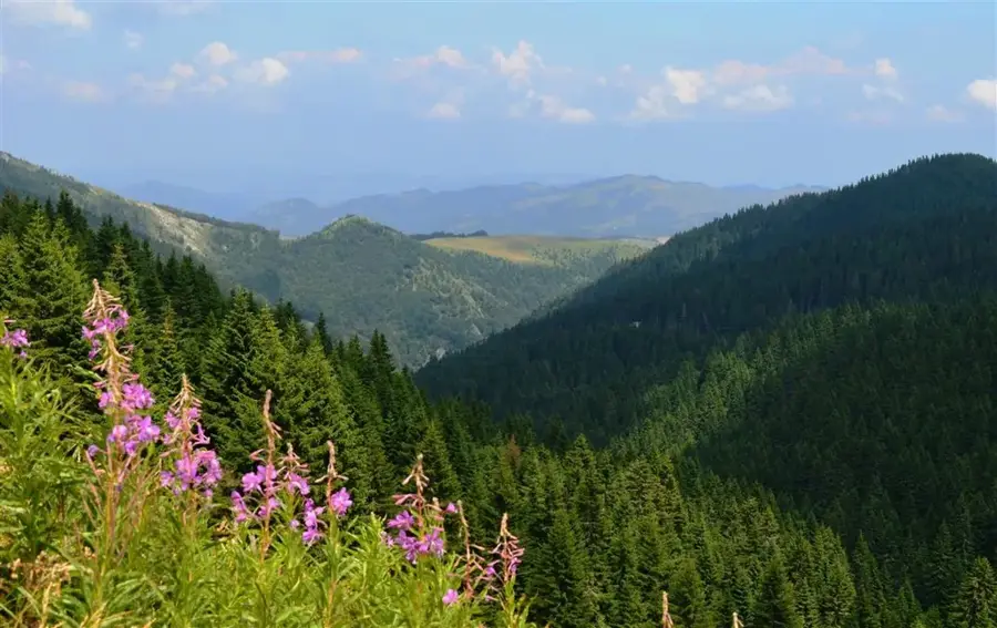 Kopaonik Nemzeti Park