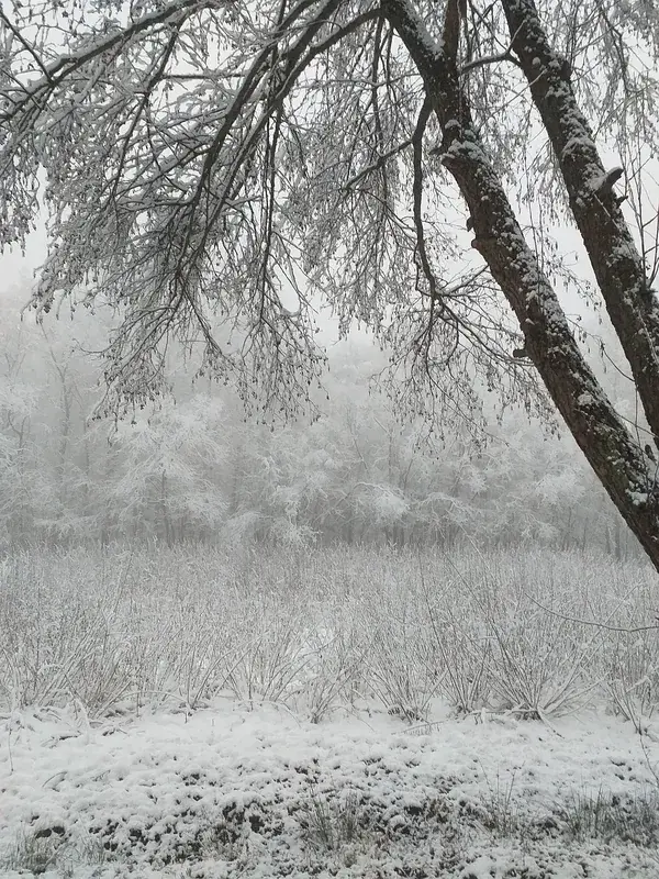 Vučak Zapad — Kopaonik (Serbia)