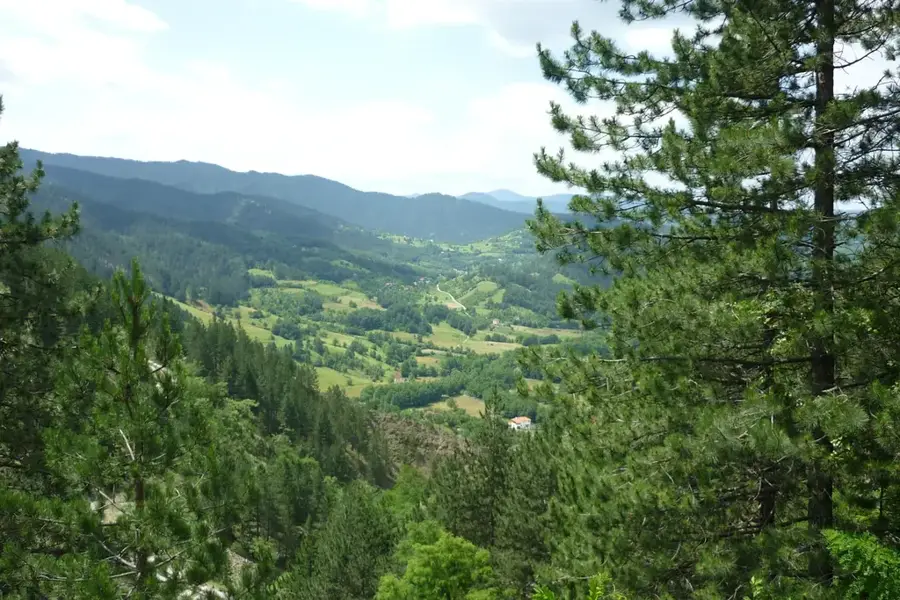 Tara Nemzeti Park