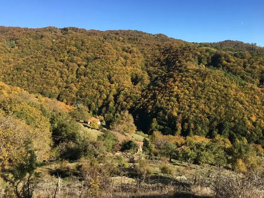 Vrteška — Ćuprija (Serbien)