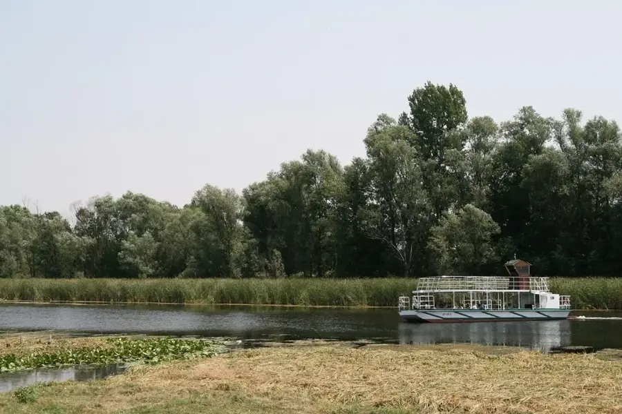 Zasavica vizes élőhely