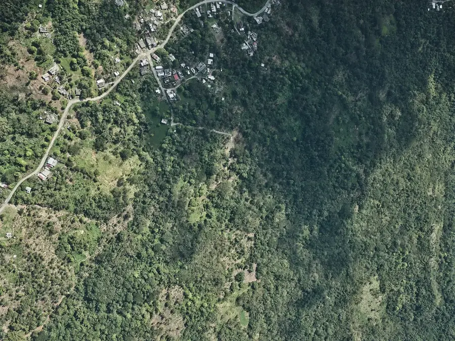 Ferma de Lactate Serge Island — Farul Morant Point (Jamaica)