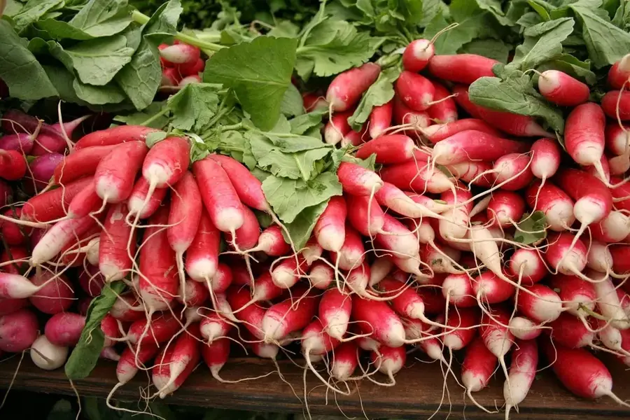 Bollywood Veggies