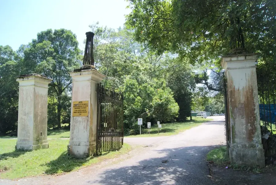Bukit Brown Friedhof
