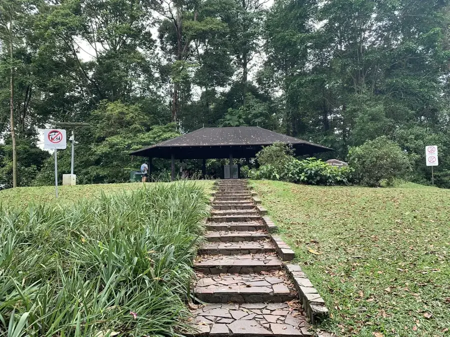 Naturschutzgebiet Bukit Timah — Clementi Wald (Singapur)