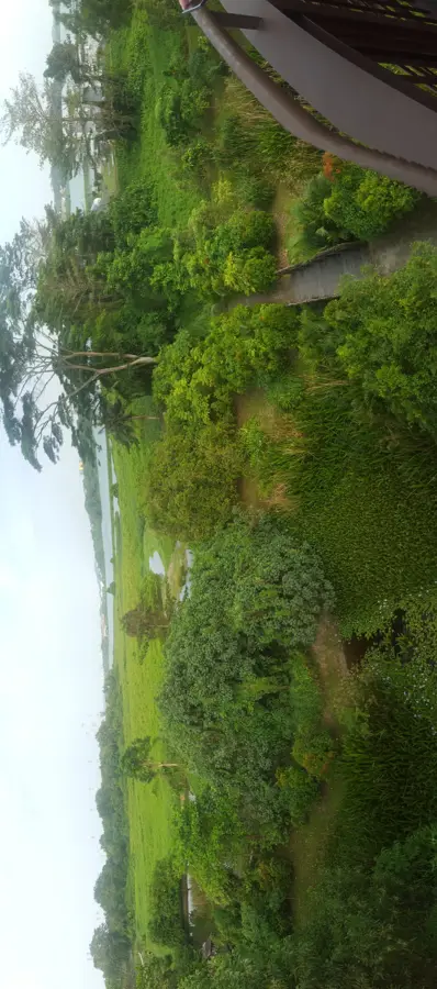 Kranji Marshes