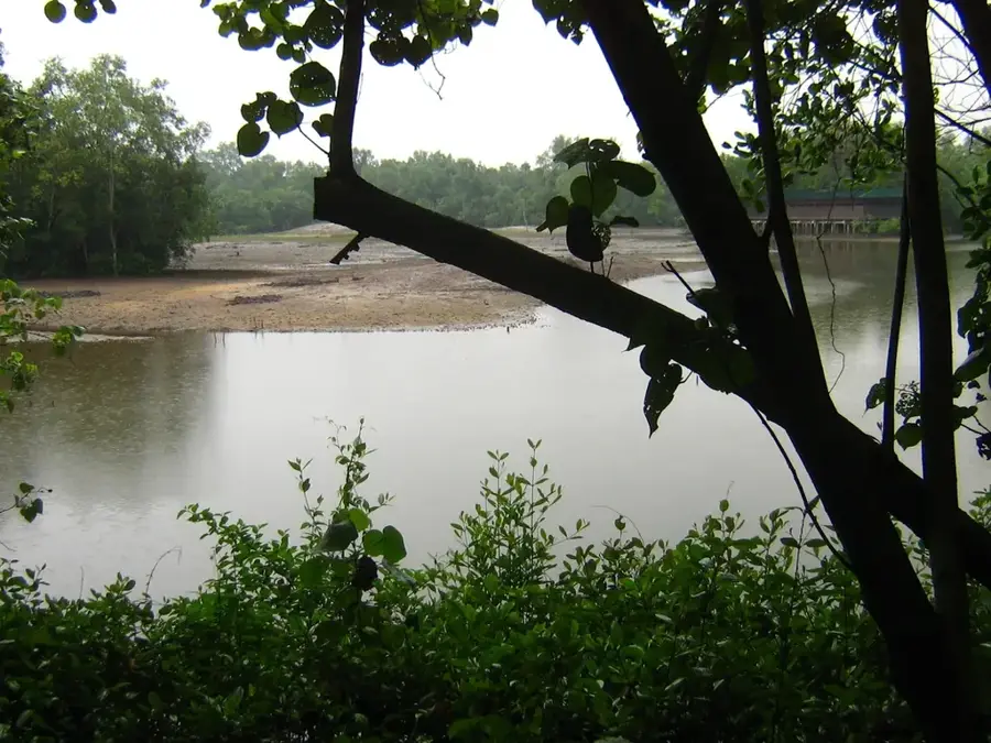 Sungei Buloh Wetland Reserve