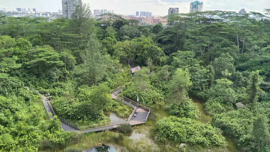 Windsor Nature Park — Yishun (Singapur)