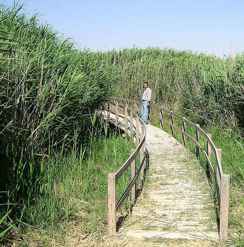 Shaumari Wildlife Reserve — Azraq (Jordan)