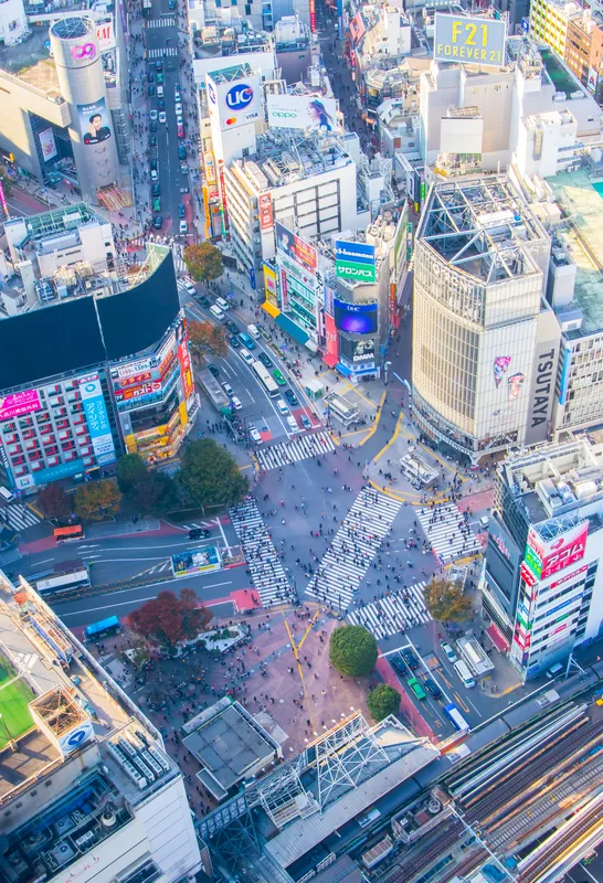 Intersecția Shibuya — Podul Curcubeu (Japonia)