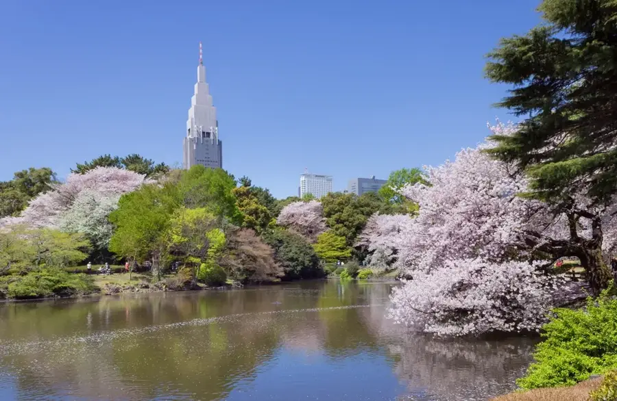 Grădina Națională Shinjuku Gyoen