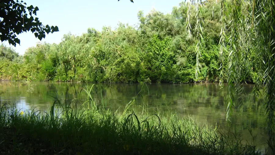 Shirvan National Park — Masalli (Azerbaijan)
