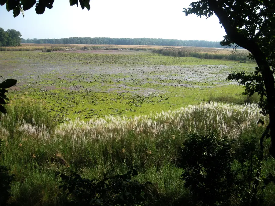 Shuklaphanta Nemzeti Park — Nanda Dévi (India)