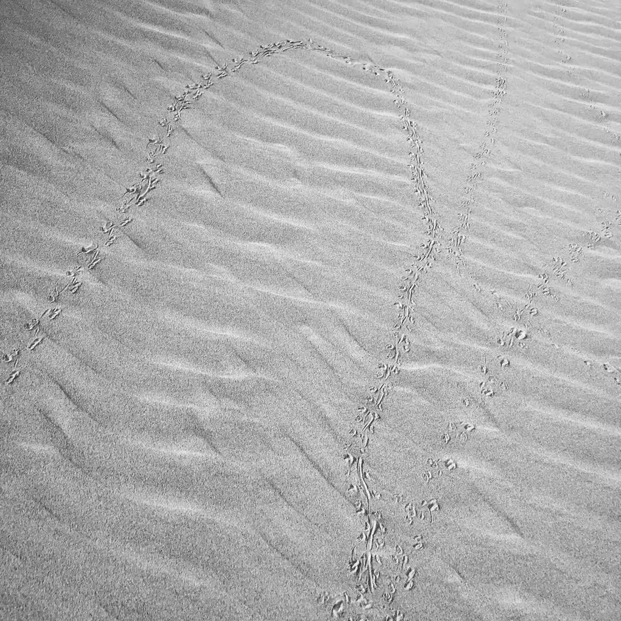 Singing Sand Dunes — Zekreet Fort (Qatar)