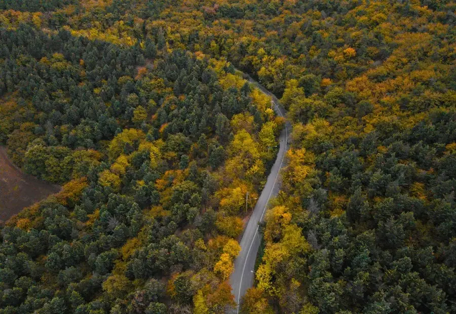 Sisangan National Park — Kelarabad (Iran)