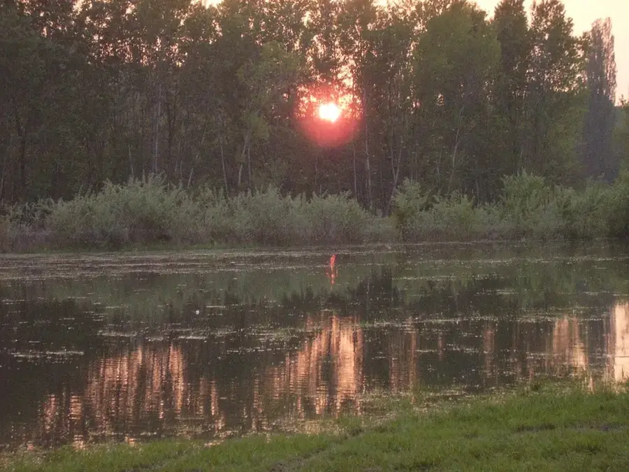 Danube Floodplains Protected Landscape Area