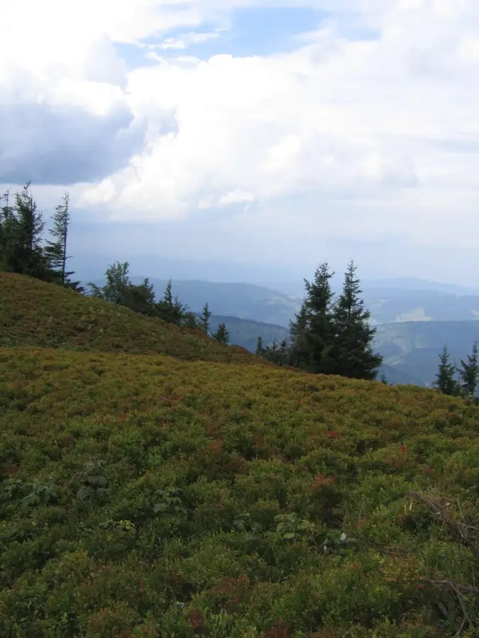 Kysuce Protected Landscape Area