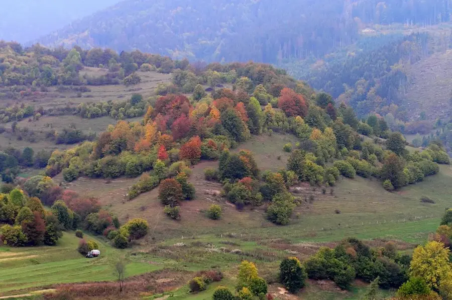 Nízke Tatry / Tále