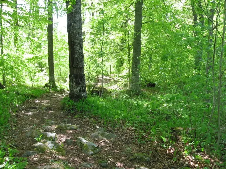 Šúr Nature Reserve