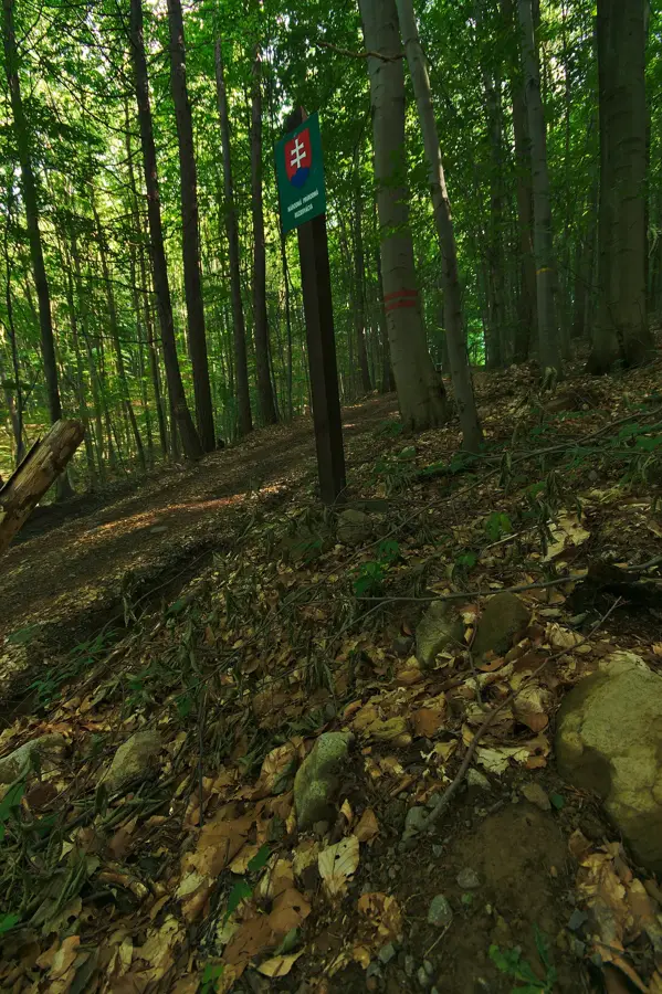 Vihorlat Protected Landscape Area