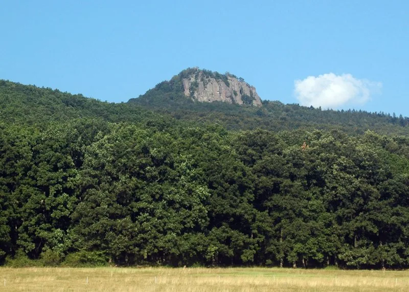 Madaras