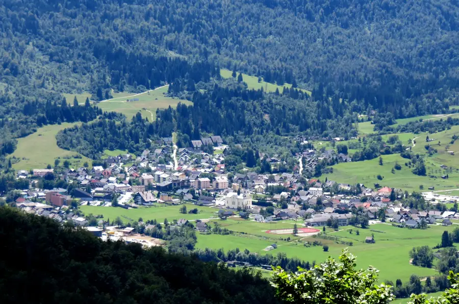 Bohinj Vogel