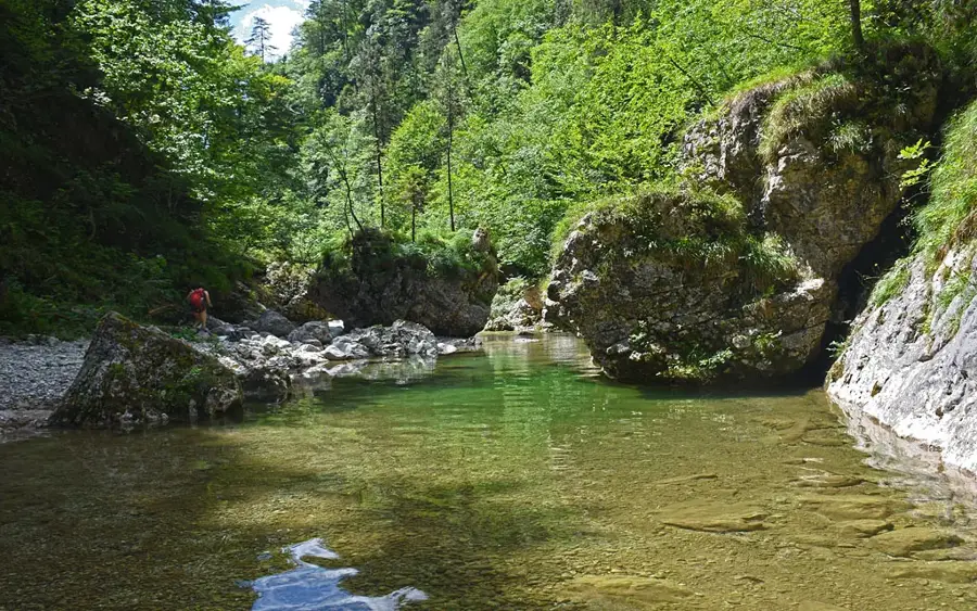 Iški Vintgar Gorge