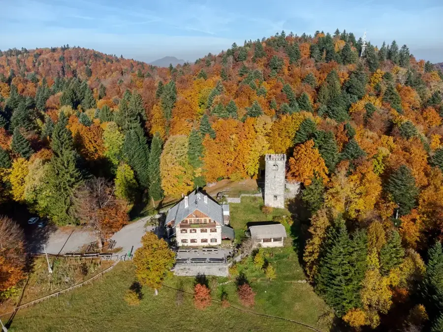 Hornwald (Kočevski Rog)