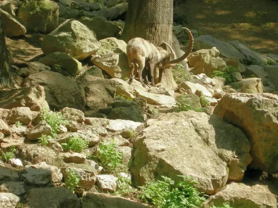 Ljubljana Zoo