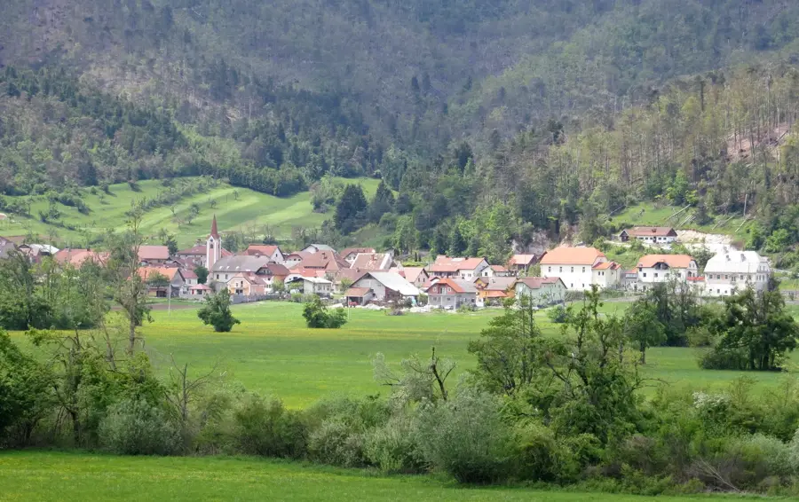 Planina-Feld