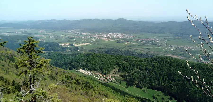 Burg Ribnica