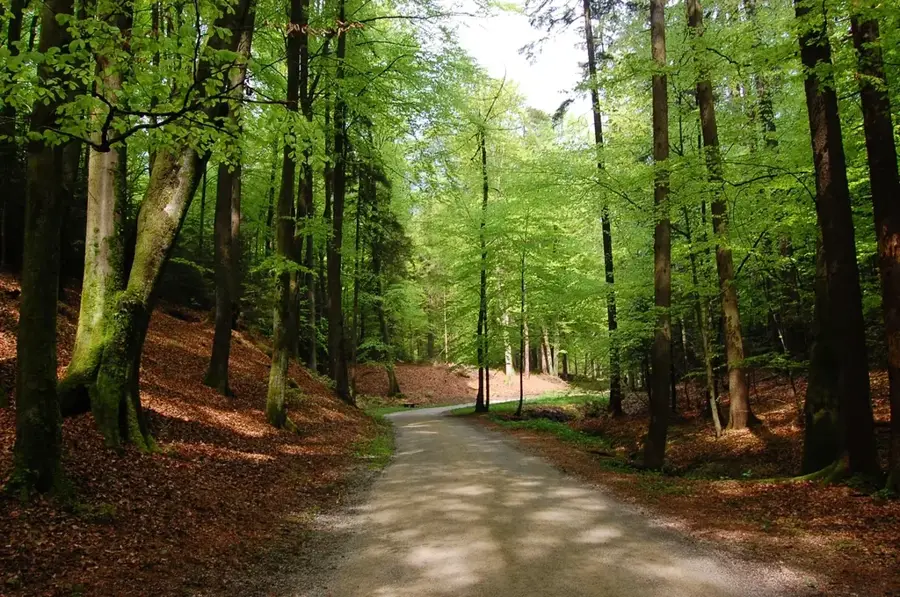 Arboretum Volčji Potok