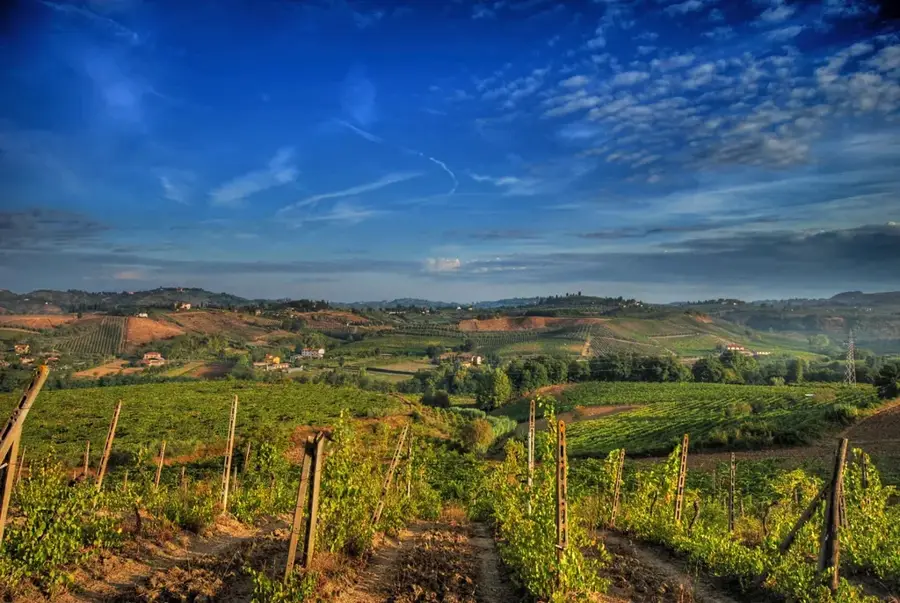 Consortium of Typical Wines of San Marino