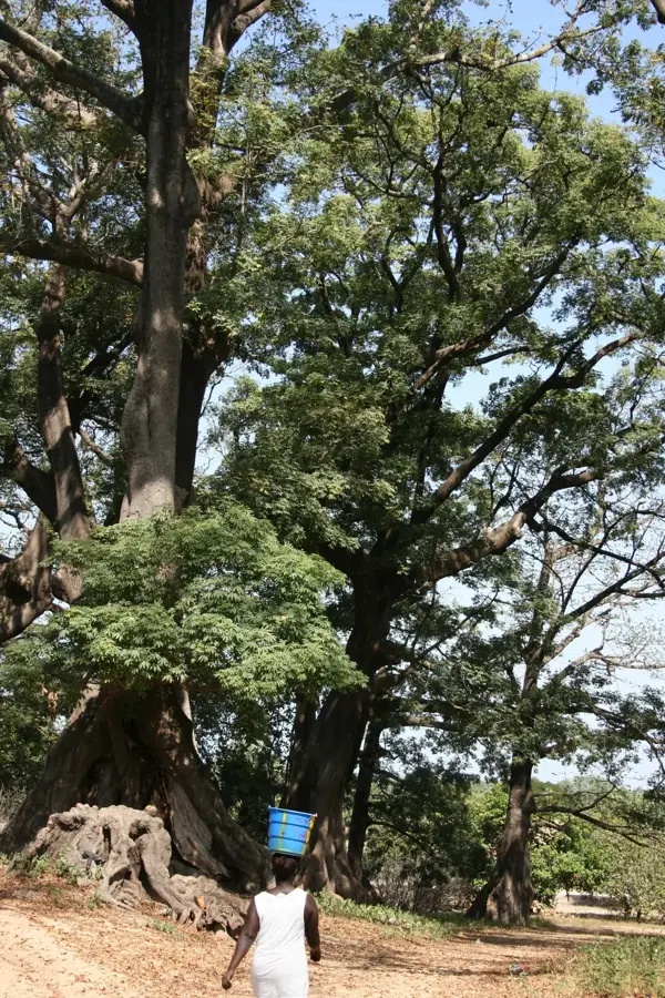 Historic Kingdom of Oussouye