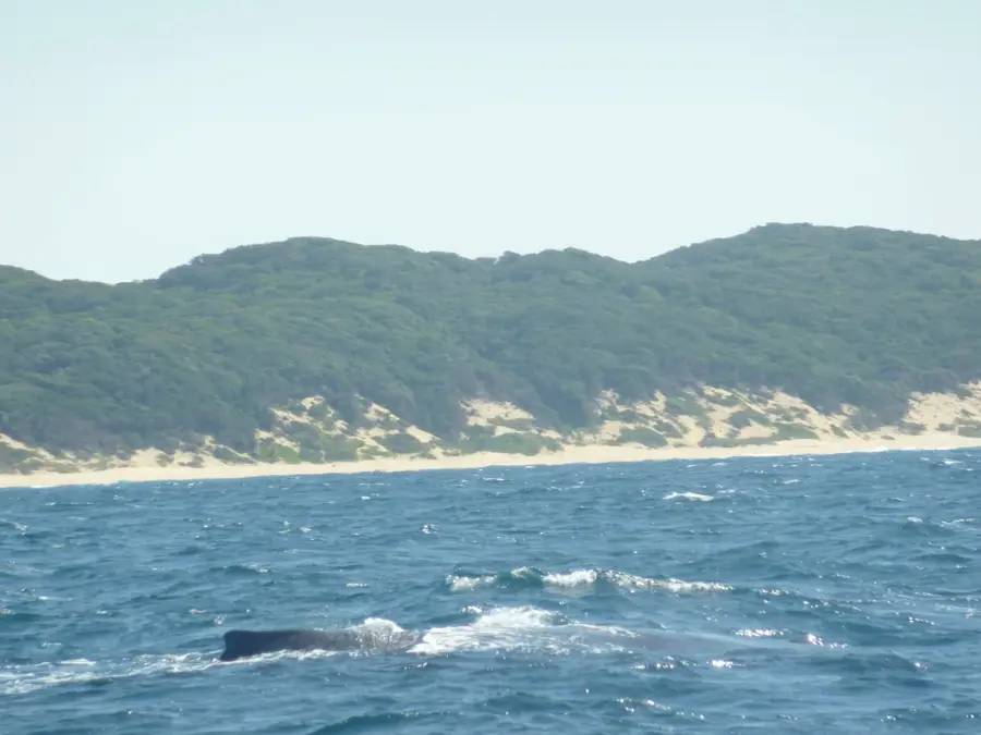 Sodwana Bay Tengeri Park — Ponta Malongane (Mozambik)