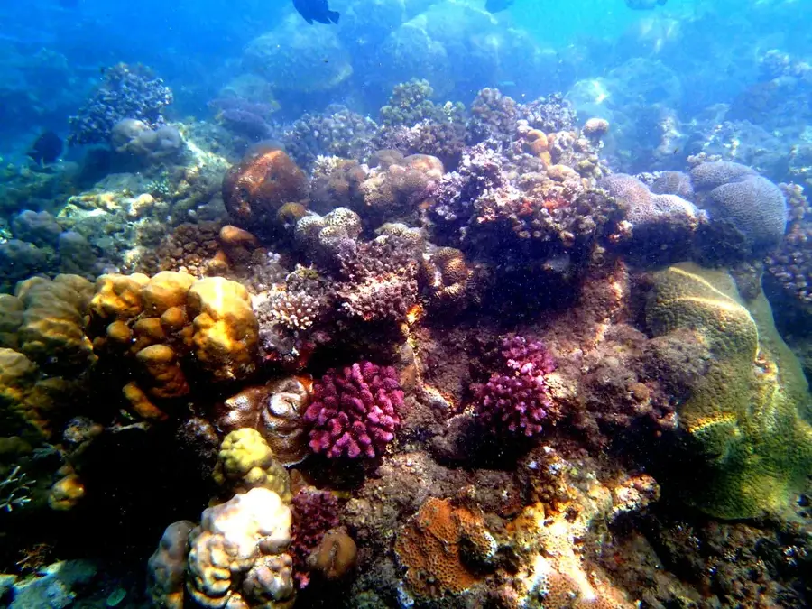 Bonegi strand — Mount Lambi (Salamon-szigetek)
